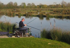 Fishing holidays in the Cotswold Water Park