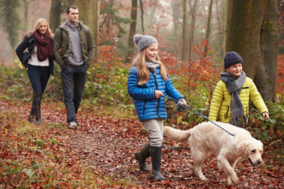 Cotswold holidays with best sale dogs