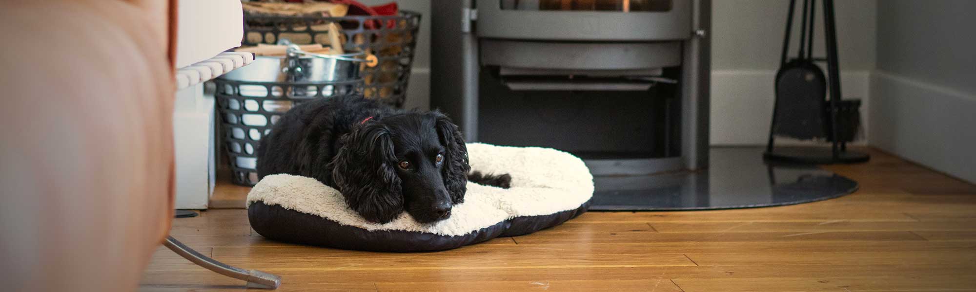 Discover dog friendly properties and holiday lodges in the Cotswold Lakes